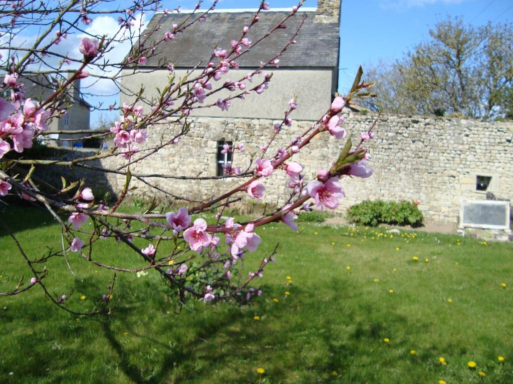 Frühstückspension La Maison Claire