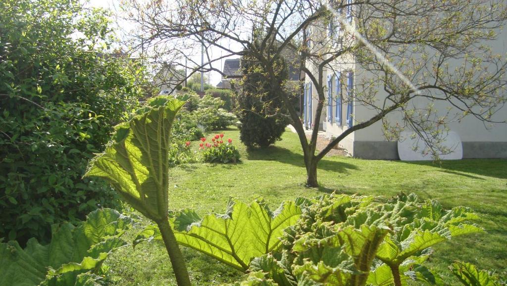 La Maison Claire
